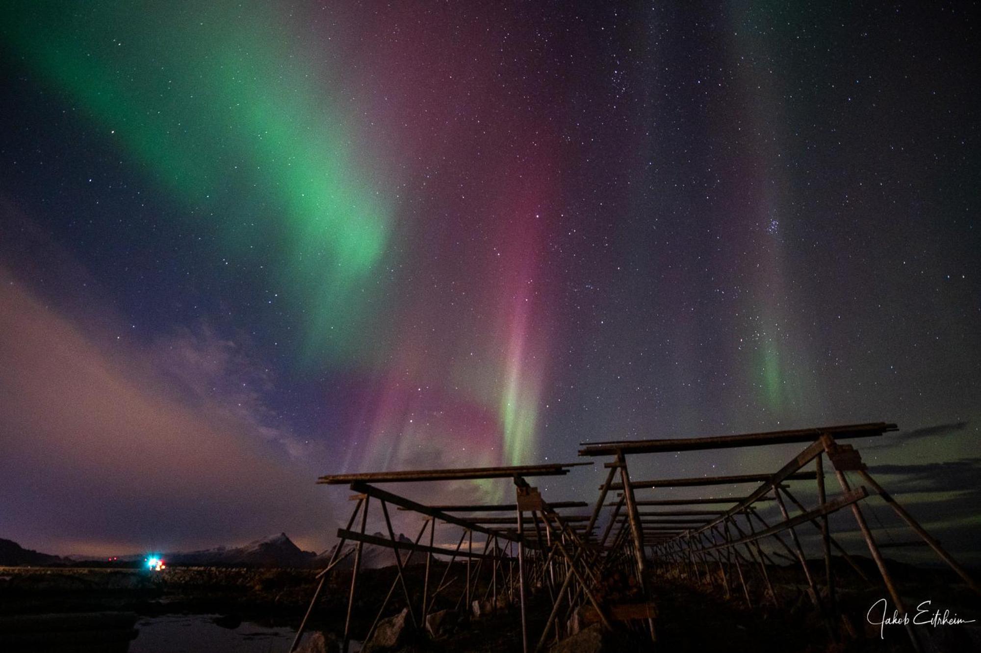 Fish Factory -The Real Lofoten Experience 발스타드 외부 사진